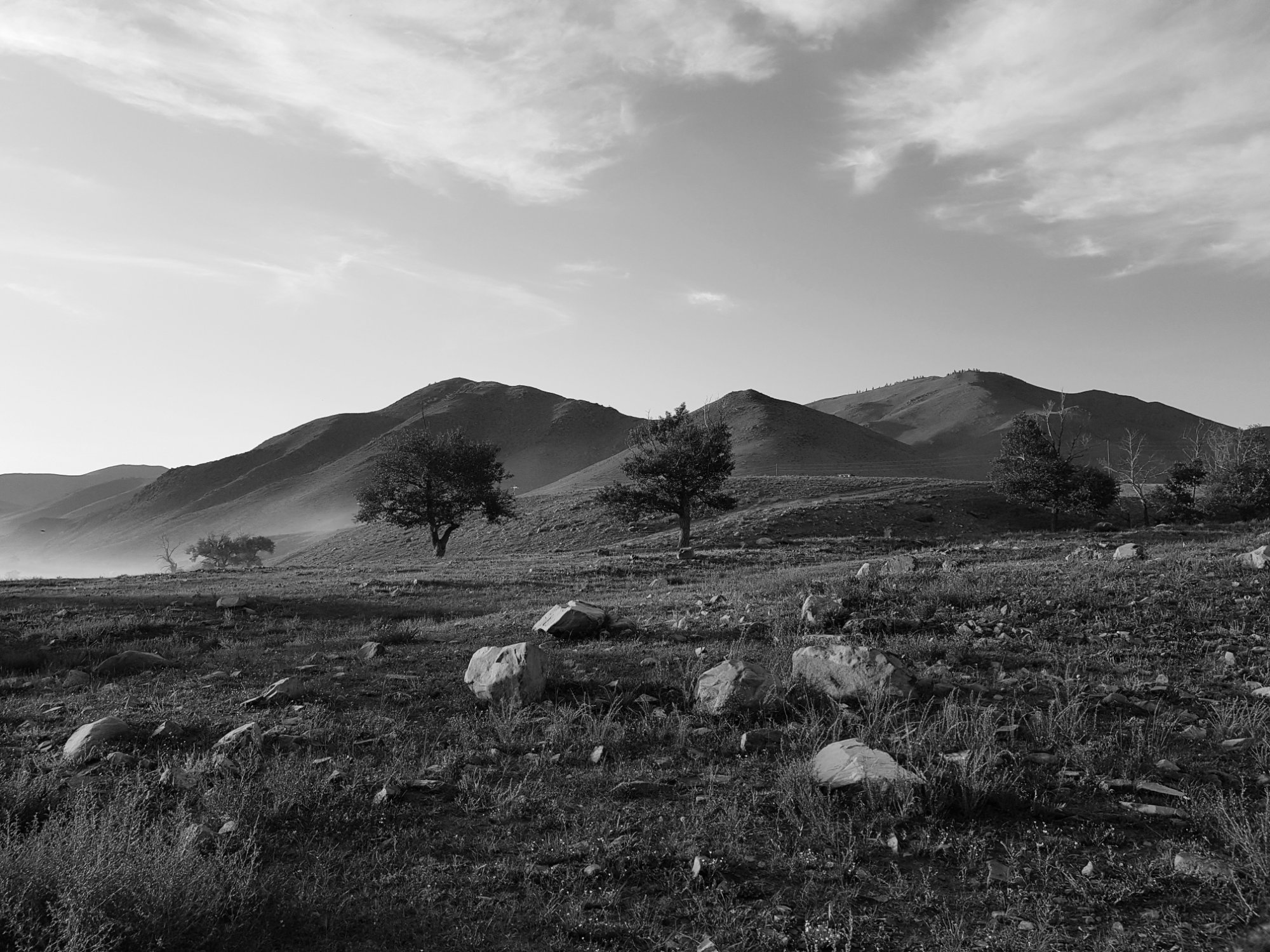 Landschap met bergen en bomen